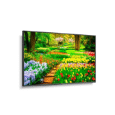 Màn Hình Chuyên Dụng NEC MultiSync M431 43″