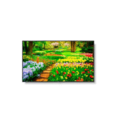 Màn Hình Chuyên Dụng NEC MultiSync M651 65″