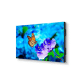 Màn hình chuyên nghiệp 55″ viền siêu hẹp UN552S