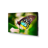 Màn hình chuyên nghiệp viền siêu hẹp 55 inch UN552