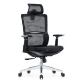 Ghế công thái học The One GLE02