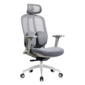 Ghế công thái học The One GLE04