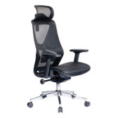 Ghế công thái học The One GLE06