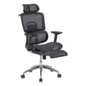 Ghế Ergonomic The One GLE13