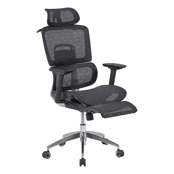 Ghế Ergonomic The One GLE13