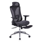 Ghế Ergonomic The One GLE15