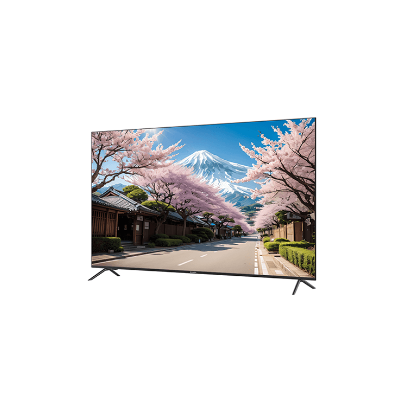 Tivi Sharp 75 inch 4T-C75FM2X